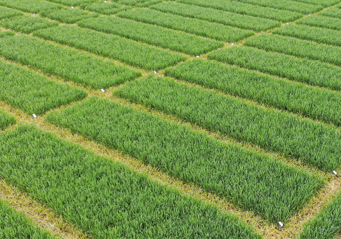 LEHNER VERSUCHSWESEN